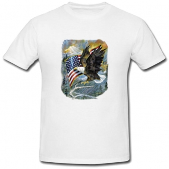 ami pride t shirt