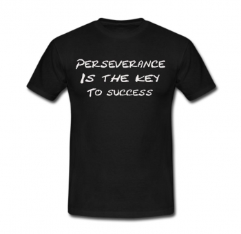 detail_357_Perseverance_is_the_key_to_success.jpg