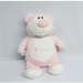 detail_455_personalized_cubbies_pink_teddy_bear.jpg